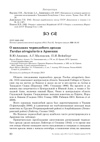 О находках чернозобого дрозда Turdus atrogularis в Армении