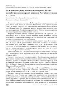 О зимней встрече водяного пастушка Rallus aquaticus на подгорной равнине Алтайского края