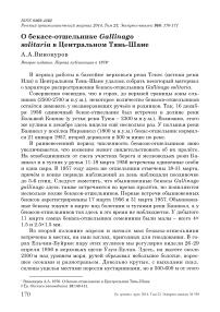 О бекасе-отшельнике Gallinago solitaria в Центральном Тянь-Шане