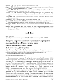 Встреча короткохвостой горлицы Streptopelia tranquebarica в Приморском крае в календарные сроки зимы