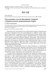 Гнездование гоголя Bucephala clangula в Баянаульском национальном парке