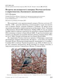 Встреча шелковистого скворца Sturnus sericeus в окрестностях Лазовского заповедника