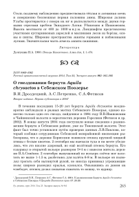 О гнездовании беркута Aquila chrysaetos в Себежском Поозерье