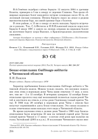 Бекас-отшельник Gallinago solitaria в Читинской области