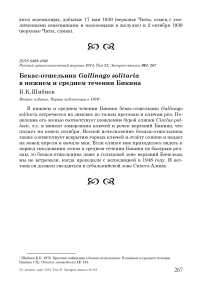 Бекас-отшельник Gallinago solitaria в нижнем и среднем течении Бикина