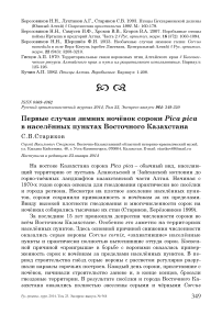 Первые случаи зимних ночёвок сороки Pica pica в населённых пунктах Восточного Казахстана