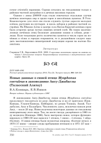 Новые данные о синей птице Myophonus coeruleus в заповеднике Аксу-Джабаглы (Таласский Алатау)