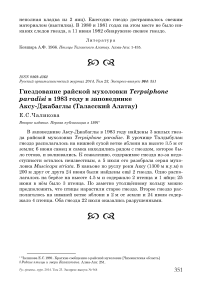 Гнездование райской мухоловки Terpsiphone paradisi в 1983 году в заповеднике Аксу-Джабаглы (Таласский Алатау)