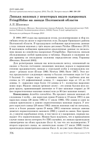 Линька маховых у некоторых видов вьюрковых Fringillidae на западе Полтавской области