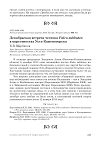 Декабрьская встреча чеглока Falco subbuteo в окрестностях Усть-Каменогорска