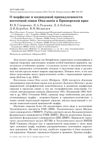 О морфизме и подвидовой принадлежности восточной совки Otus sunia в Приморском крае