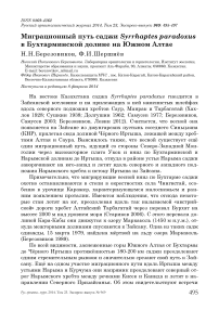 Миграционный путь саджи Syrrhaptes paradoxus в Бухтарминской долине на Южном Алтае