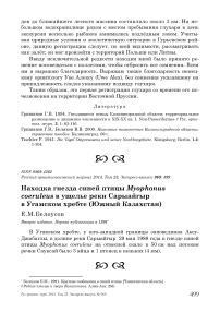 Находка гнезда синей птицы Myophonus coeruleus в ущелье реки Сарыайгыр в Угамском хребте (Южный Казахстан)