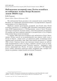 Наблюдения полярной совы Nyctea scandiaca на побережье залива Петра Великого зимой 1983/84 года