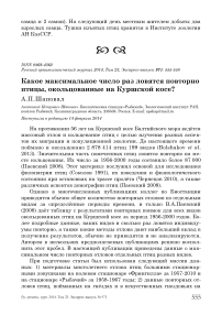 Какое максимальное число раз ловятся повторно птицы, окольцованные на Куршской косе?