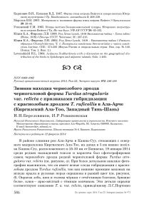 Зимняя находка чернозобого дрозда черноголовой формы Turdus atrogularis var. relicta с признаками гибридизации с краснозобым дроздом T. ruficollis в Ала-Арче (Киргизский Ала-Тоо, Западный Тянь-Шань)