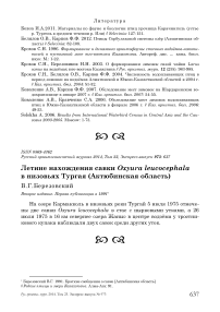 Летние нахождения савки Oxyura leucocephala в низовьях Тургая (Актюбинская область)