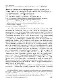 Зимовка косматого (черноголового) поползня Sitta villosa в Уссурийском крае и её возможные экологические интерпретации