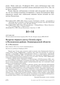 Встречи чёрного аиста Ciconia nigra в Волховском районе Ленинградской области