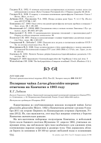 Полярная чайка Larus glaucoides впервые отмечена на Камчатке в 1983 году