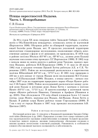 Птицы окрестностей Надыма. Часть 1. Неворобьиные