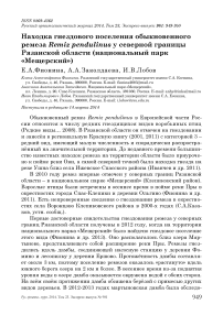 Находка гнездового поселения обыкновенного ремеза Remiz pendulinus у северной границы Рязанской области (национальный парк «Мещерский»)