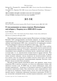 О гнездовании кулика-сороки Haematopus ostralegus у Барнаула в 2009-2013 годах