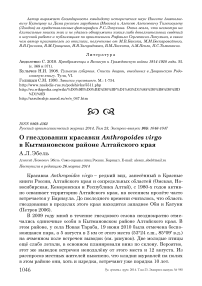 О гнездовании красавки Anthropoides virgo в Кытмановском районе Алтайского края