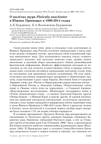 О налётах щура Pinicola enucleator в Южное Приморье в 1996-2014 годах