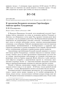 К экологии большого козодоя Caprimulgus indicus хребта Тукурингра