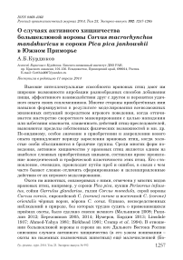 О случаях активного хищничества большеклювой вороны Corvus macrorhynchos mandshuricus и сороки Pica pica jankowskii в Южном Приморье