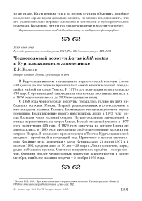 Черноголовый хохотун Larus ichthyaetus в Кургальджинском заповеднике