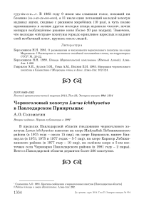 Черноголовый хохотун Larus ichthyaetus в Павлодарском Прииртышье