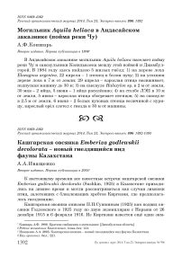 Кашгарская овсянка Emberiza godlewskii decolorata - новый гнездящийся вид фауны Казахстана