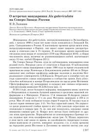 О встречах мандаринки Aix galericulata на северо-западе России