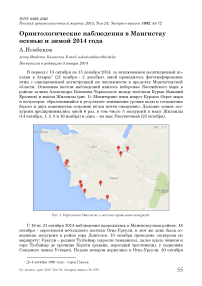 Орнитологические наблюдения в Мангистау осенью и зимой 2014 года