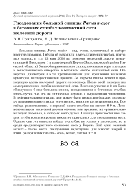 Гнездование большой синицы Parus major в бетонных столбах контактной сети железной дороги