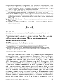 Гнездование большого подорлика Aquila clanga в Лепсинской долине (Жонгар-Алатауский национальный парк)