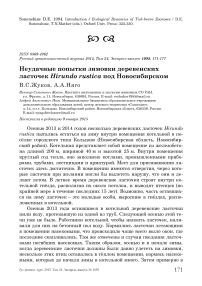 Неудачные попытки зимовки деревенских ласточек Hirundo rustica под Новосибирском