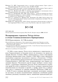 Возвращение стрепета Tetrax tetrax в степи Семипалатинского Прииртышья