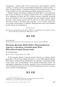 Находка филина Bubo bubo в Капчагайском ущелье в среднем течении реки Или (Юго-Восточный Казахстан)