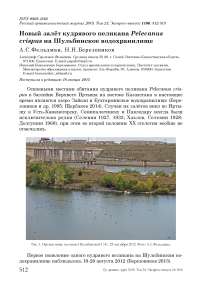 Новый залёт кудрявого пеликана Pelecanus crispus на Шульбинское водохранилище