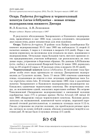 Огарь Tadorna ferruginea и черноголовый хохотун Larus ichthyaetus - новые птицы водохранилищ Нижнего Днепра