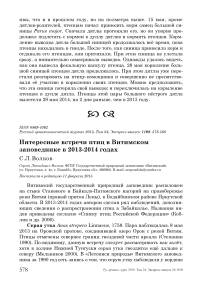 Интересные встречи птиц в Витимском заповеднике в 2013-2014 годах