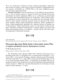 Находки филина Bubo bubo в бассейне реки Убы в горно-таёжной части Западного Алтая