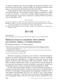 Майская встреча гуменника Anser fabalis на степных озёрах у Семипалатинска