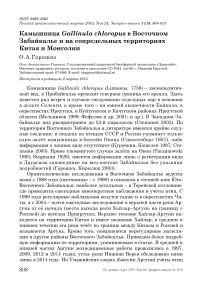 Камышница Gallinula chloropus в Восточном Забайкалье и на сопредельных территориях Китая и Монголии