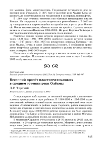 Весенний пролёт пластинчатоклювых в среднем течении реки Олёкмы