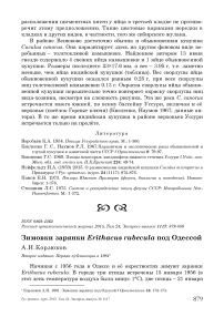 Зимовки зарянки Erithacus rubecula под Одессой