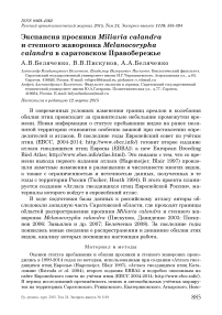 Экспансия просянки  Miliaria calandra и степного жаворонка  Melanocorypha calandra в Саратовском правобережье